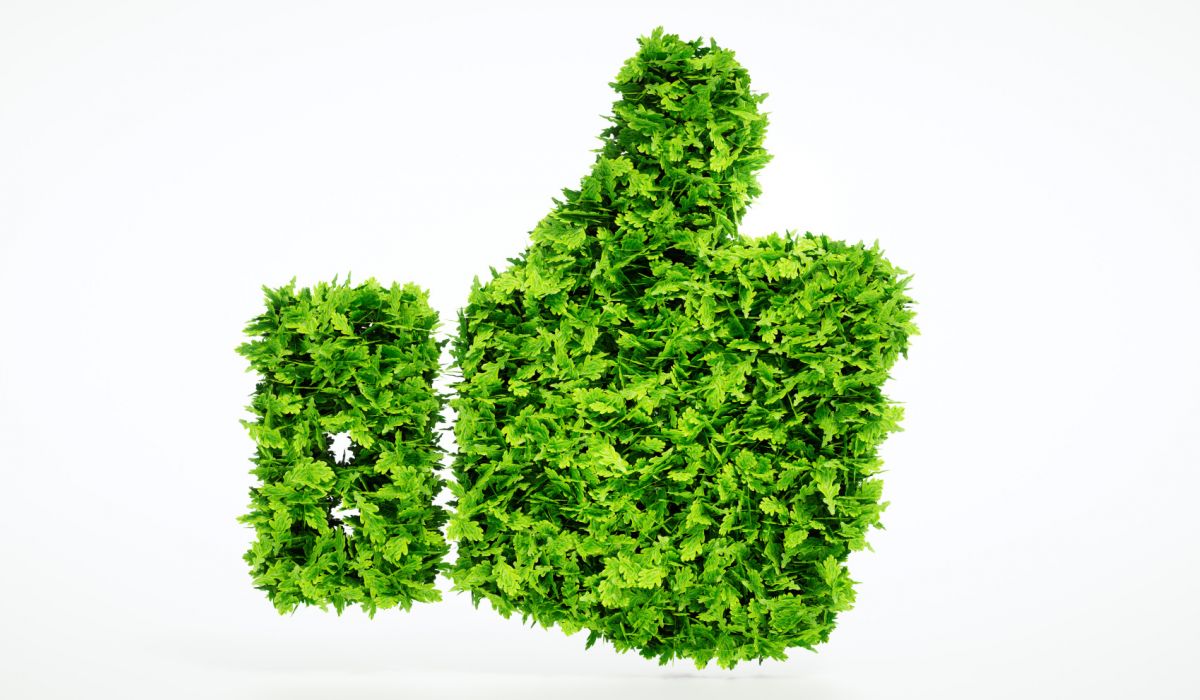 Un pouce vert formé de fougères illustre la synthèse de la séance "Développement durable au cabinet dentaire : une stratégie gagnant-gagnant" organisée par l'ADF lors de son Congrès 2021